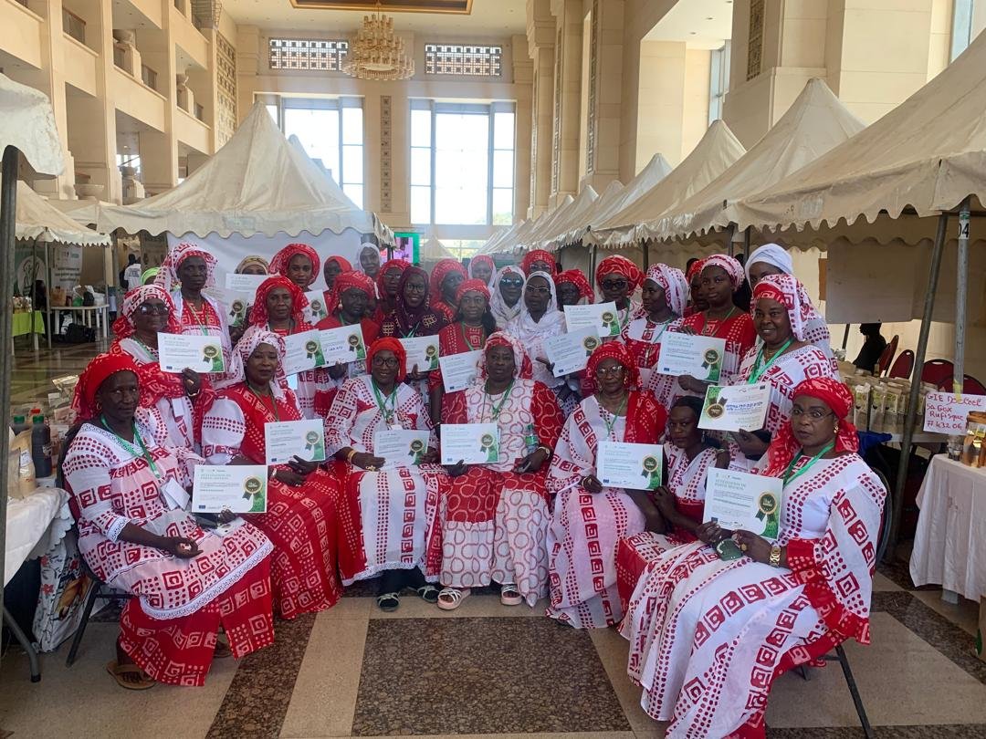 Les Entreprises féminines du bureau de certification